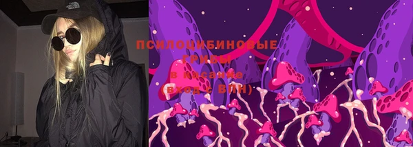 молекула духа Алзамай