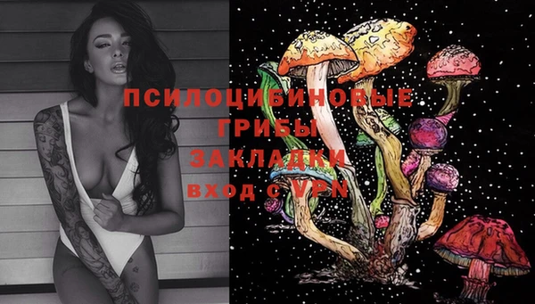 молекула духа Алзамай